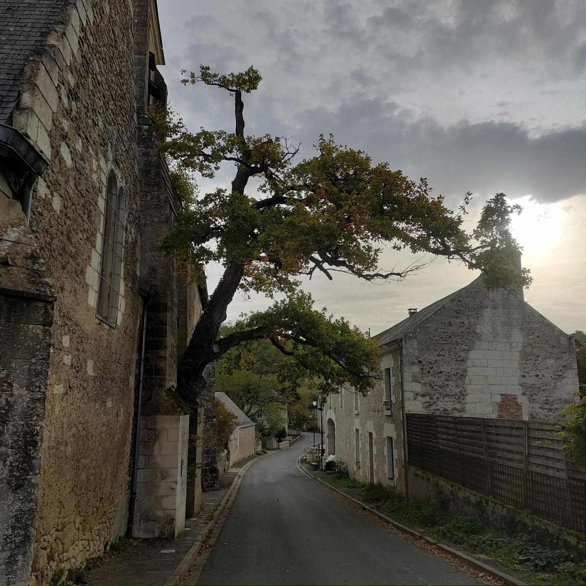 Les Logis D Usse Vila Rigny-Ussé Exterior foto